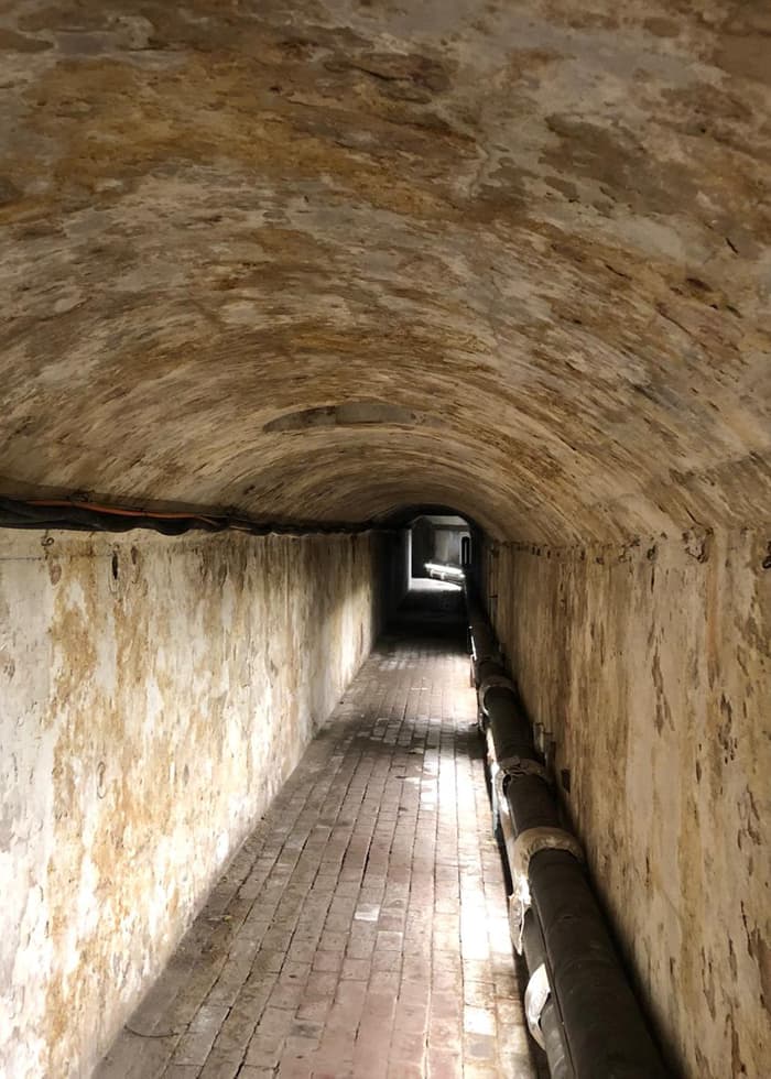 Basement & Tunnel Tours