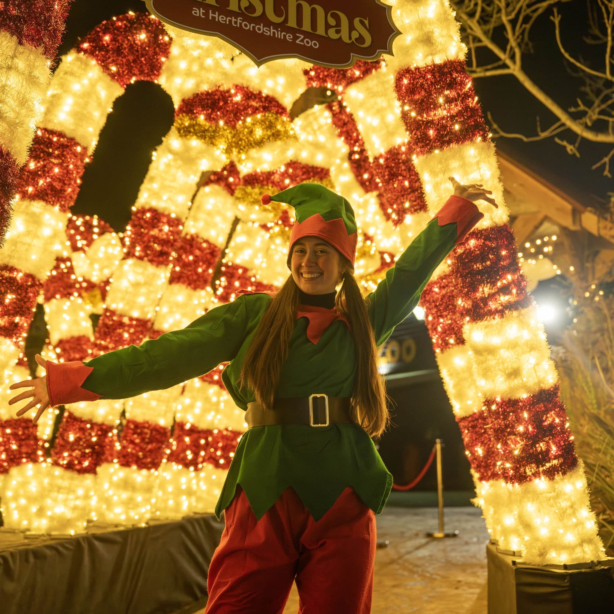 Christmas Wonderland at Hertfordshire Zoo