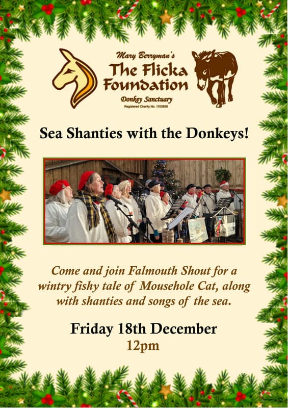 Sea Shanties with the Donkeys