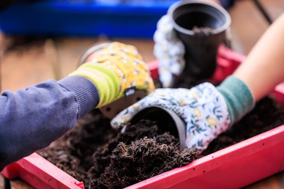 Home Education Workshops for ages 11–16 at RHS Harlow Carr