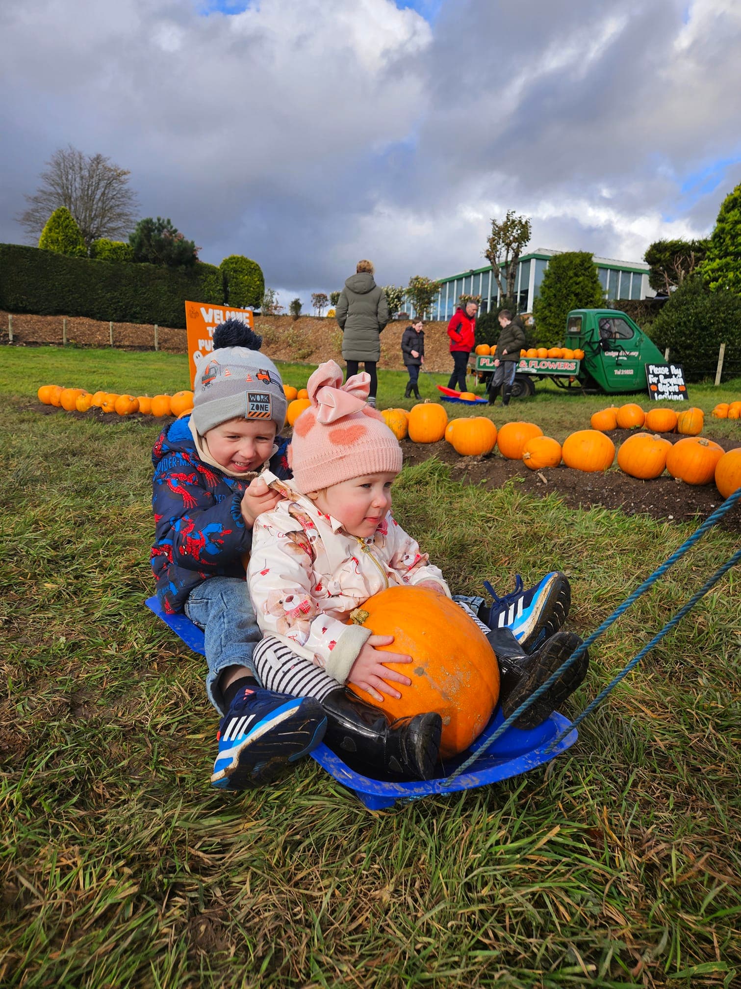 Pumpkin Picking at Craigend Nursery