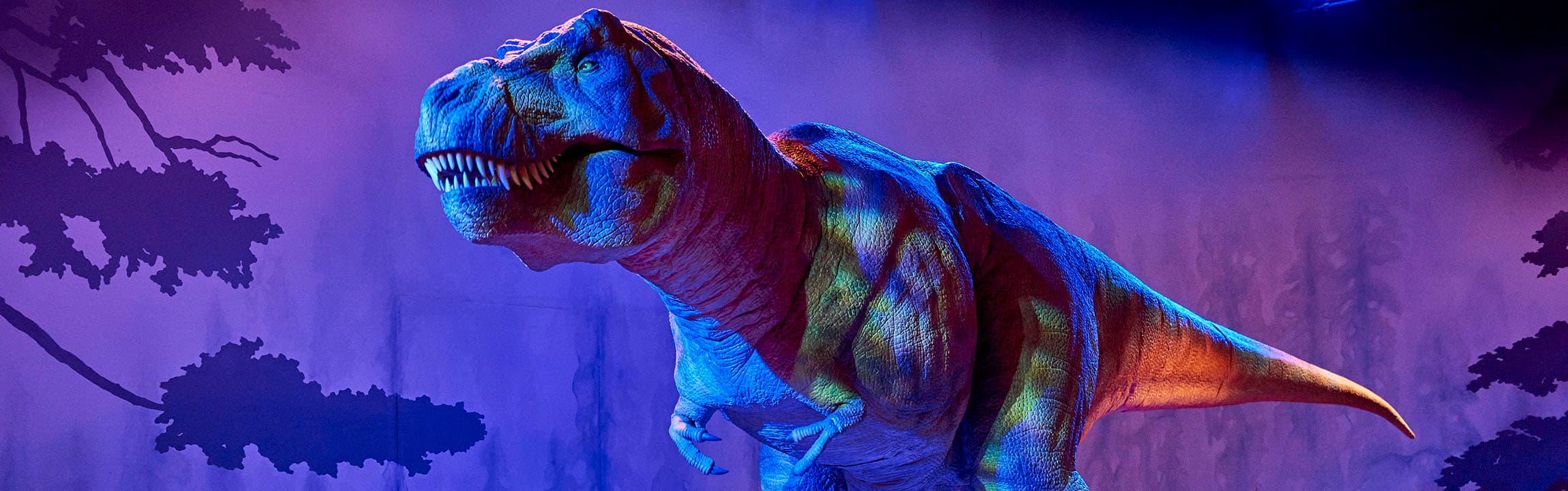 Out of Hours Dino Tours