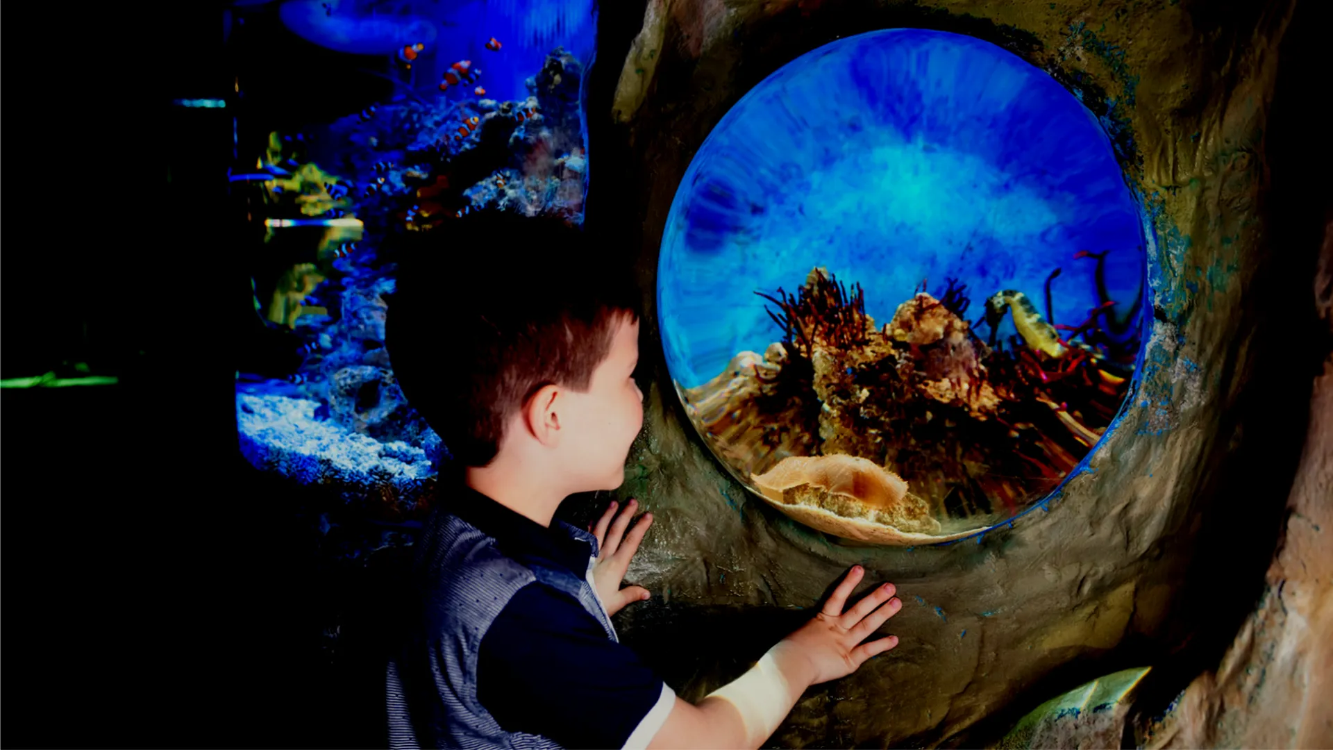 Quiet at the Aquarium (Sunday sessions)