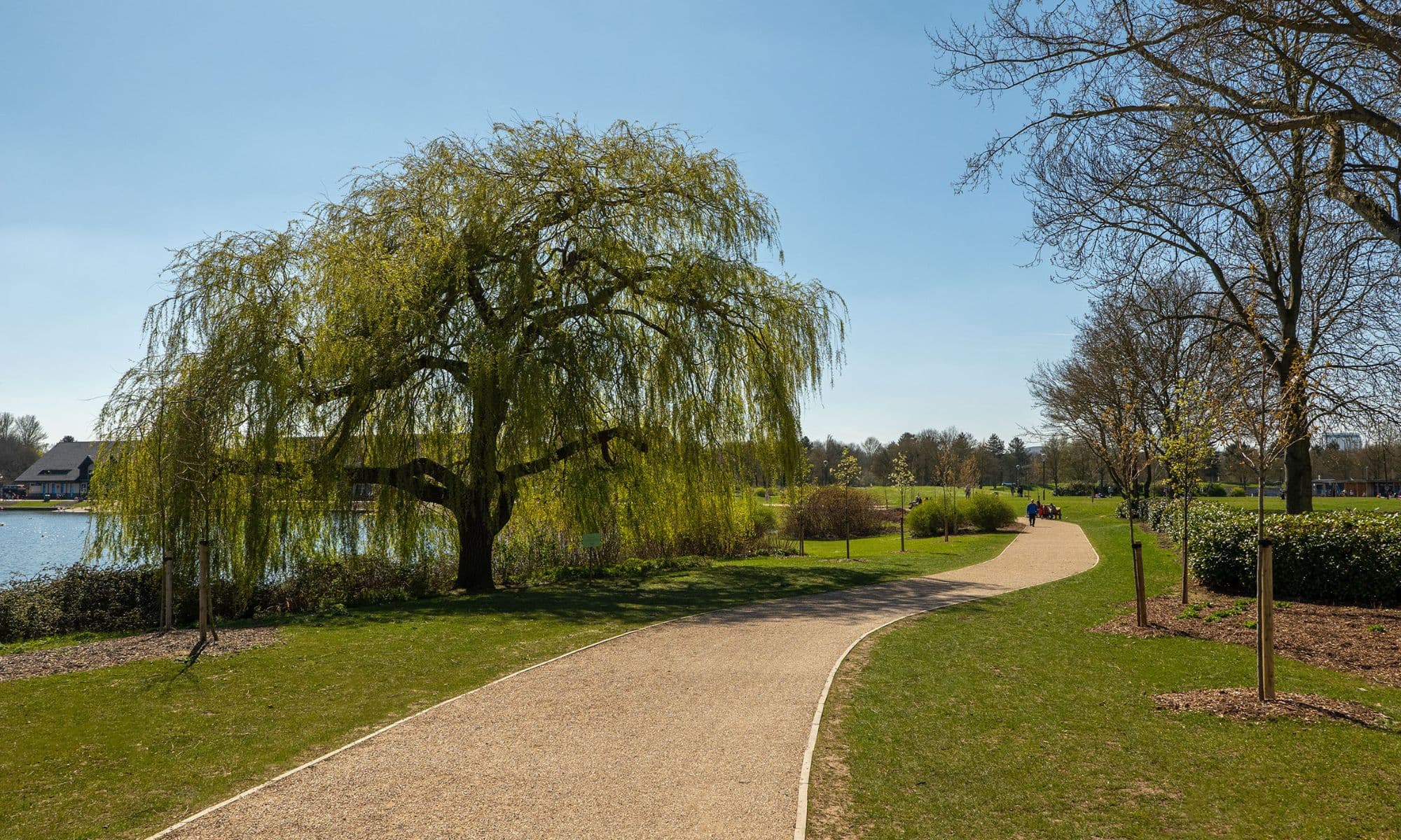 Inclusive Stroll with Sensory Narration