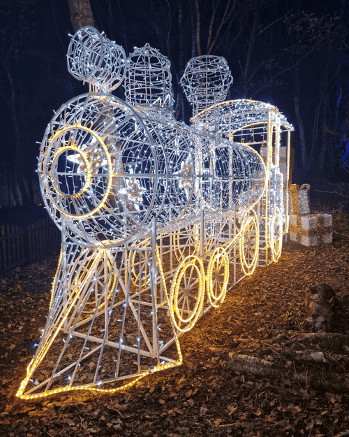 The Magical Woodland at Christmas