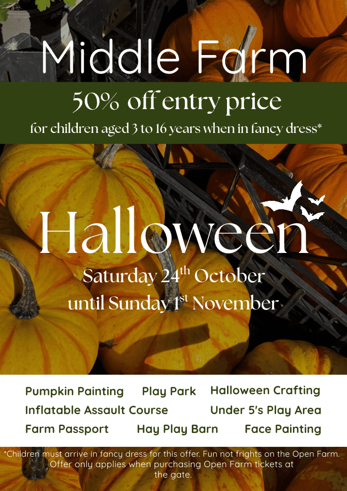 Halloween 2026 at Middle Farm Open Farm