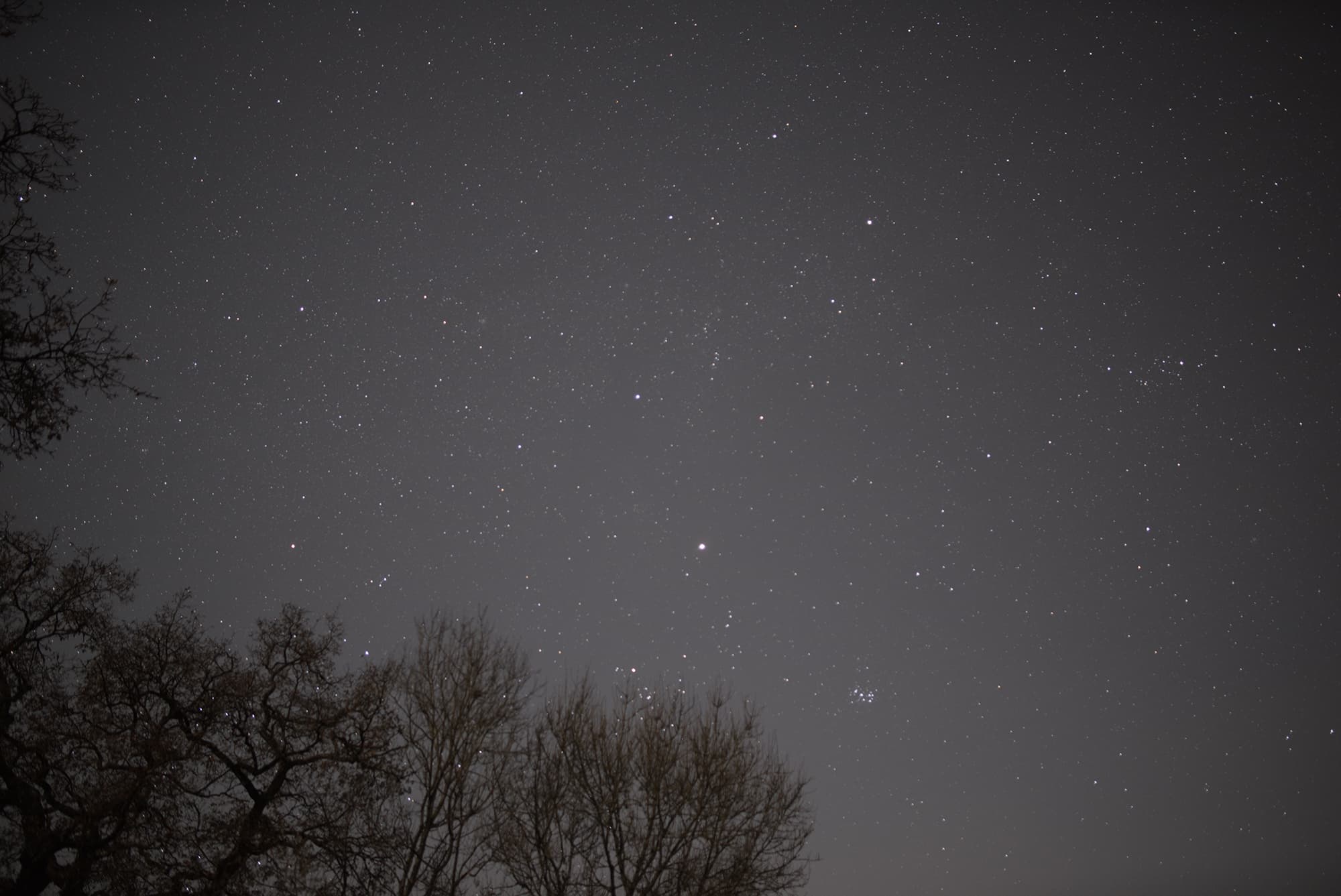 Stargazing and Astronomy Evening - Nature Discovery Centre