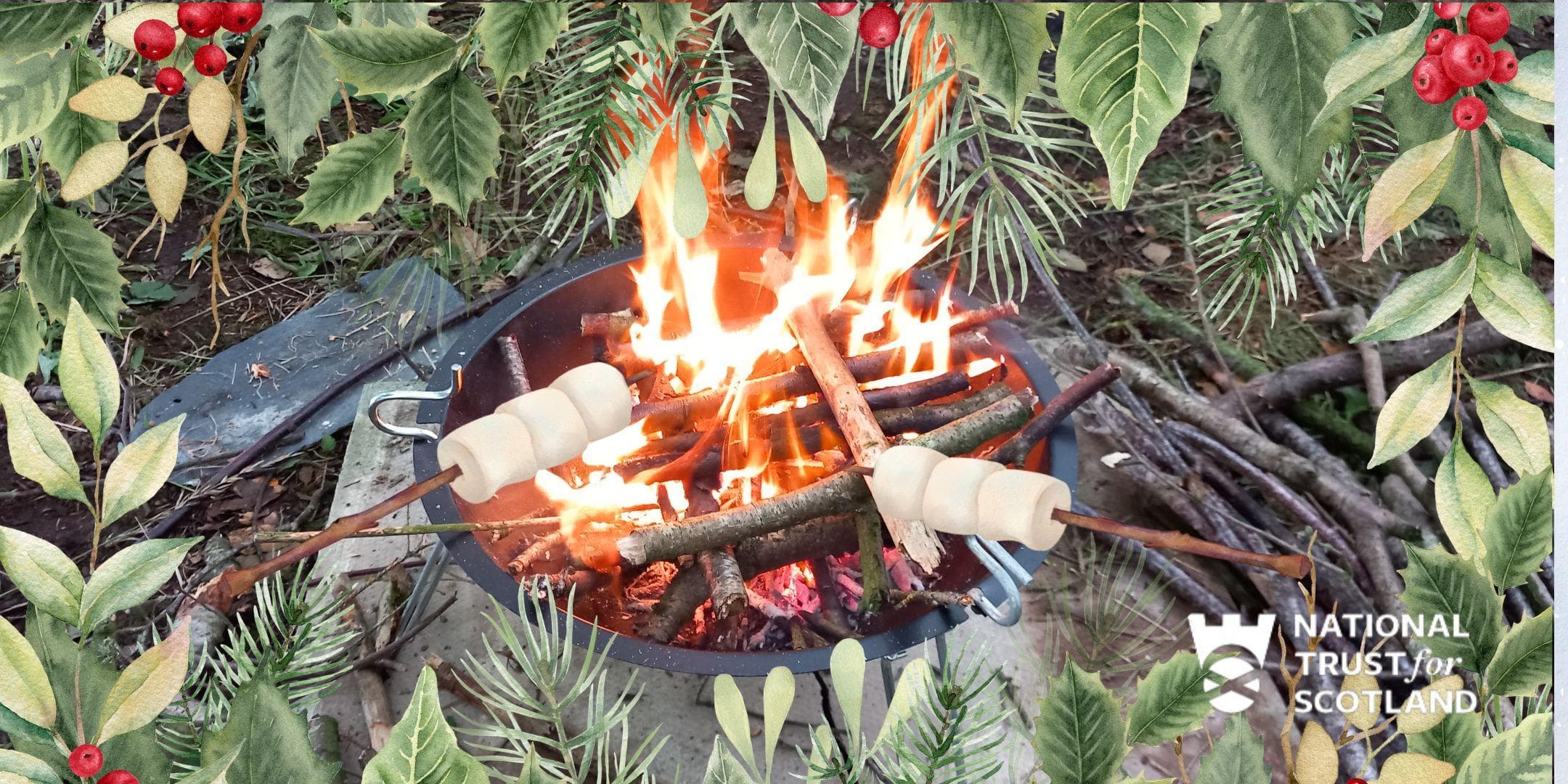 Campfire Cookout at Threave Nature Reserve