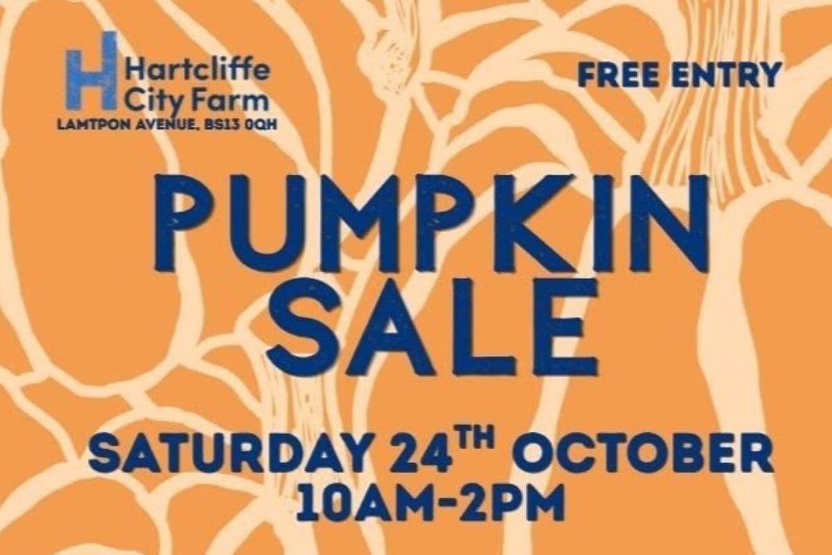 Pumpkin Sale at Hartcliffe City Farm