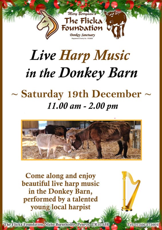 Live Harp Music in the Donkey Barn
