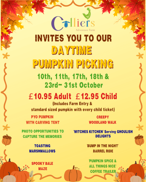 Daytime Pumpkin Event at Colliers Adventure Farm