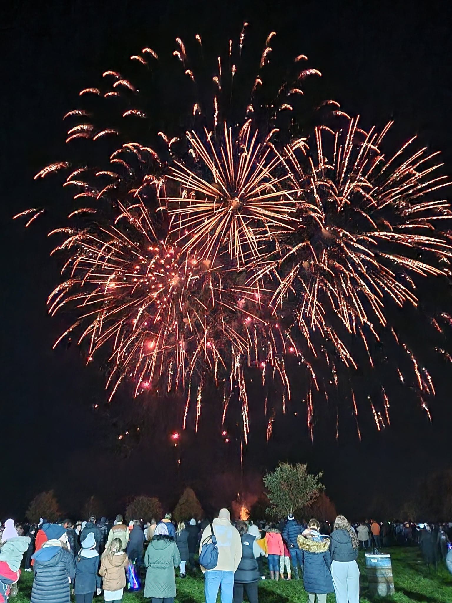Lydiard Fireworks Spectacular