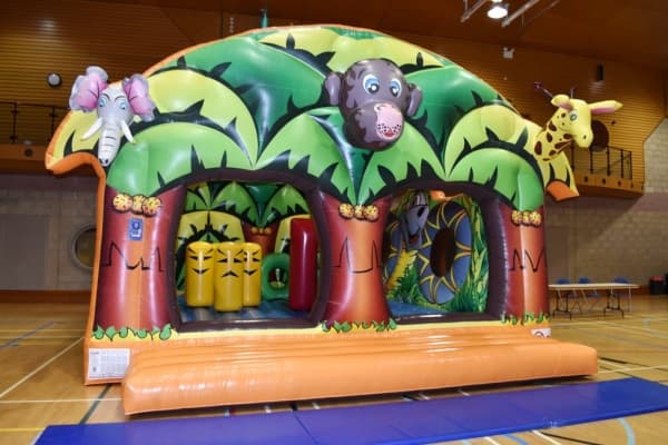 Arena Inflatables: Sunday Under 11s and Under 5s Session