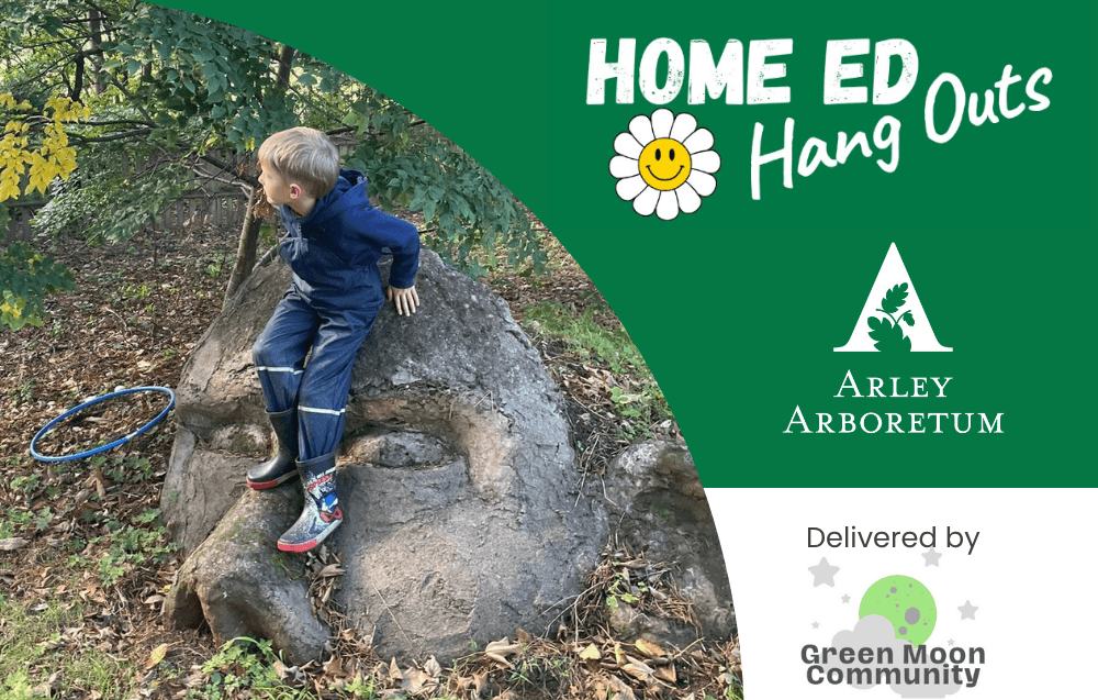 Home Ed Hangouts