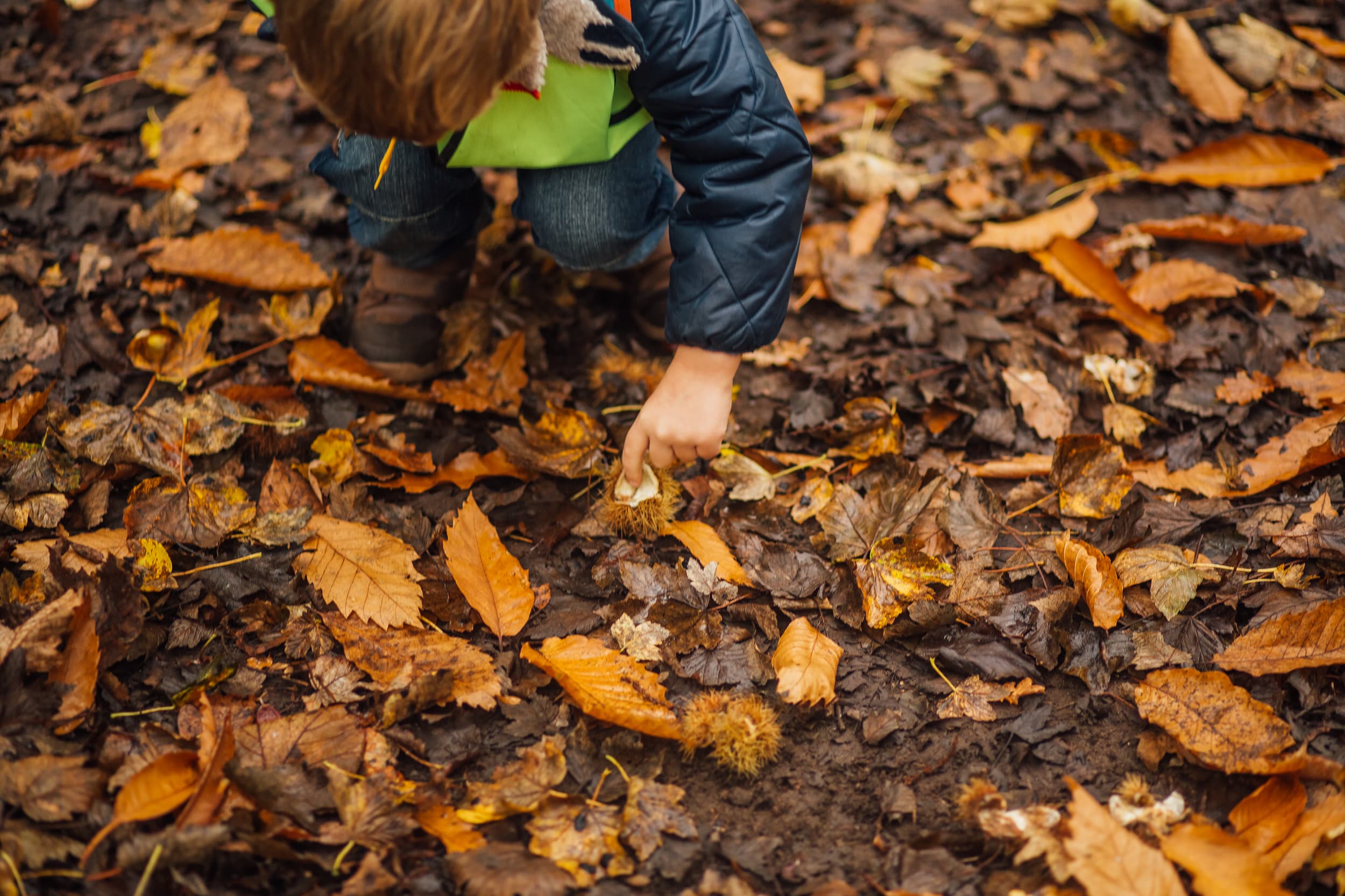 Blashford Lakes: Autumn Wildlife Explorers