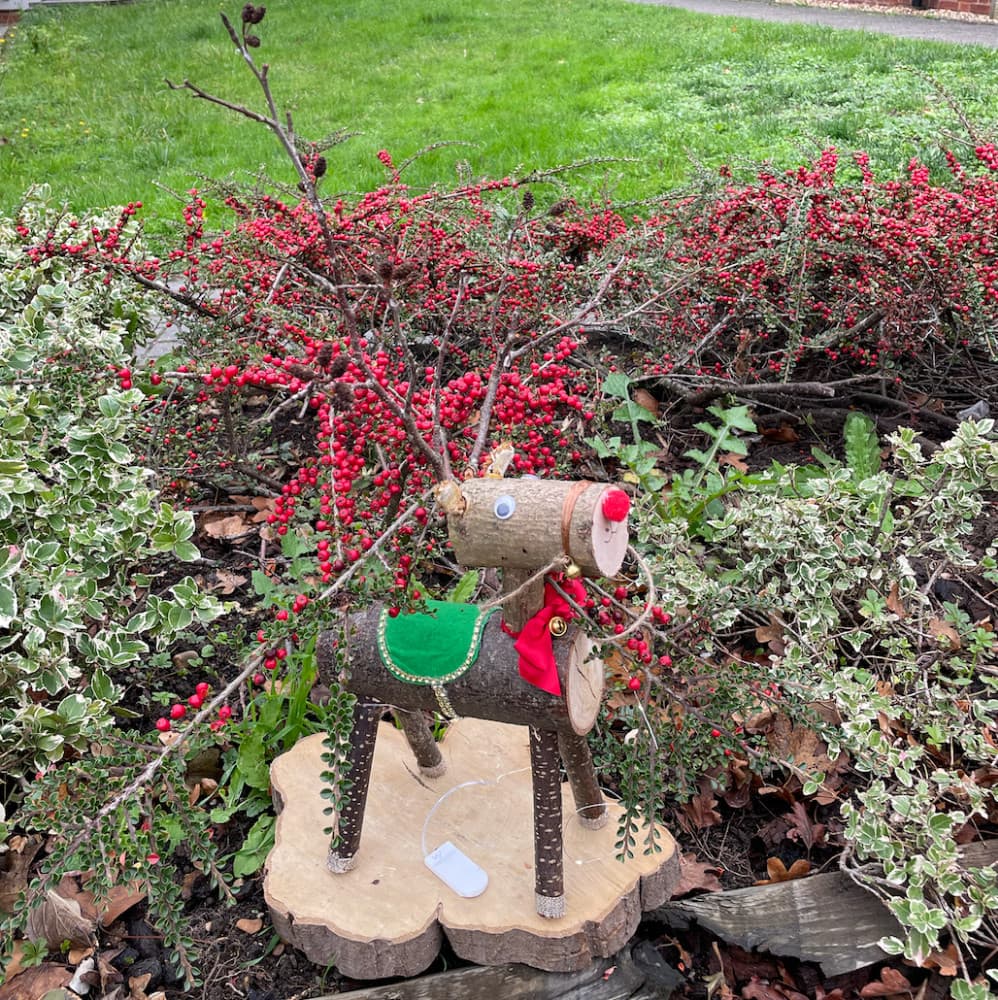 Family Natural Reindeer Decorating Workshop