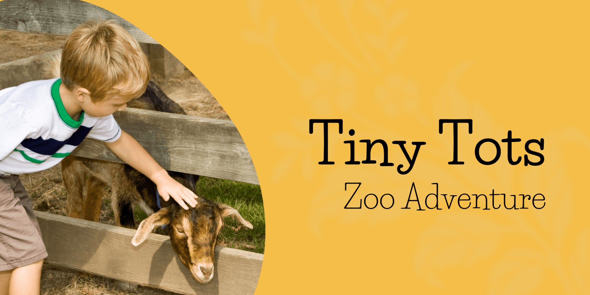 Tiny Tots Zoo Adventure