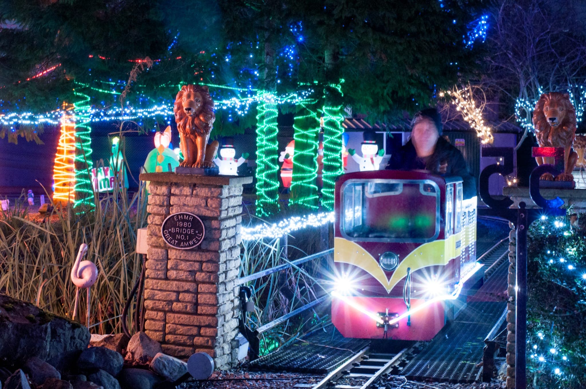 Winter Lights Diesel and Electric Trains
