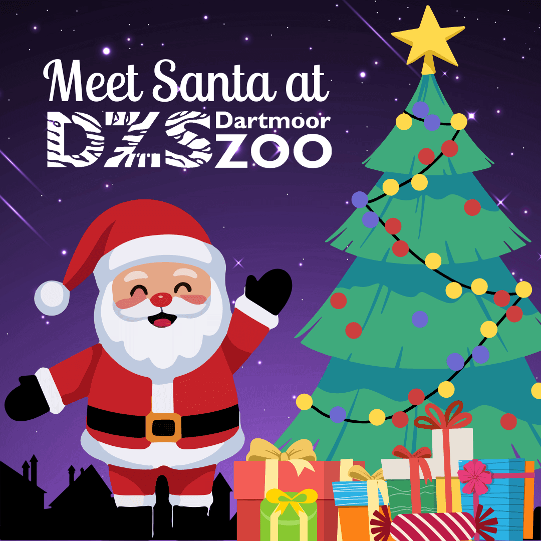 Santa's Grotto at Dartmoor Zoo