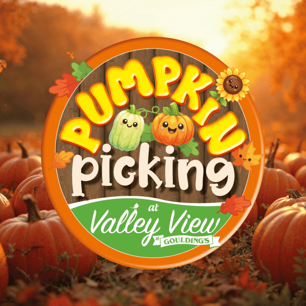 Pumpkin Picking at Valley View