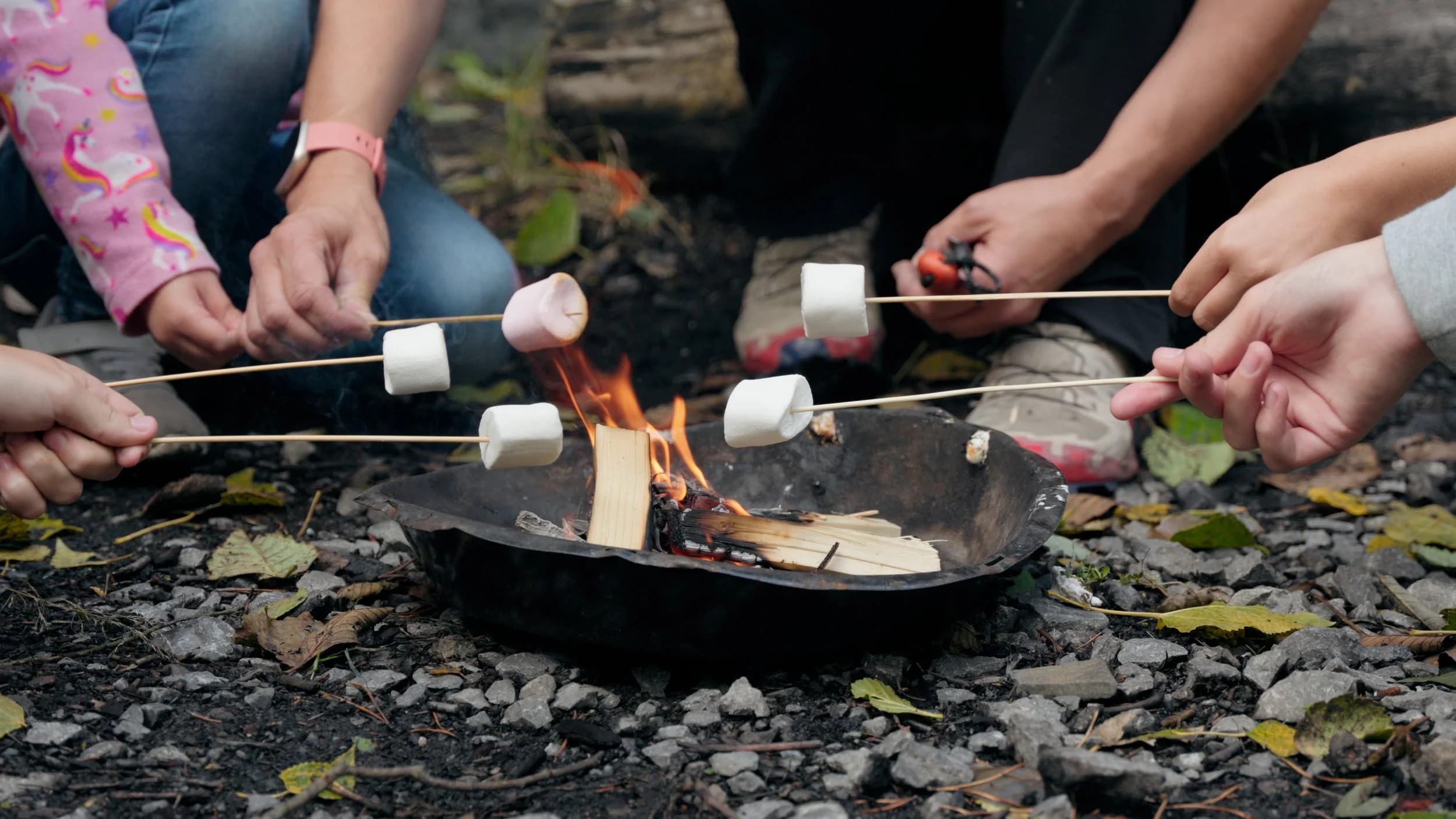 Bushcraft Session at Parc Bryn Bach