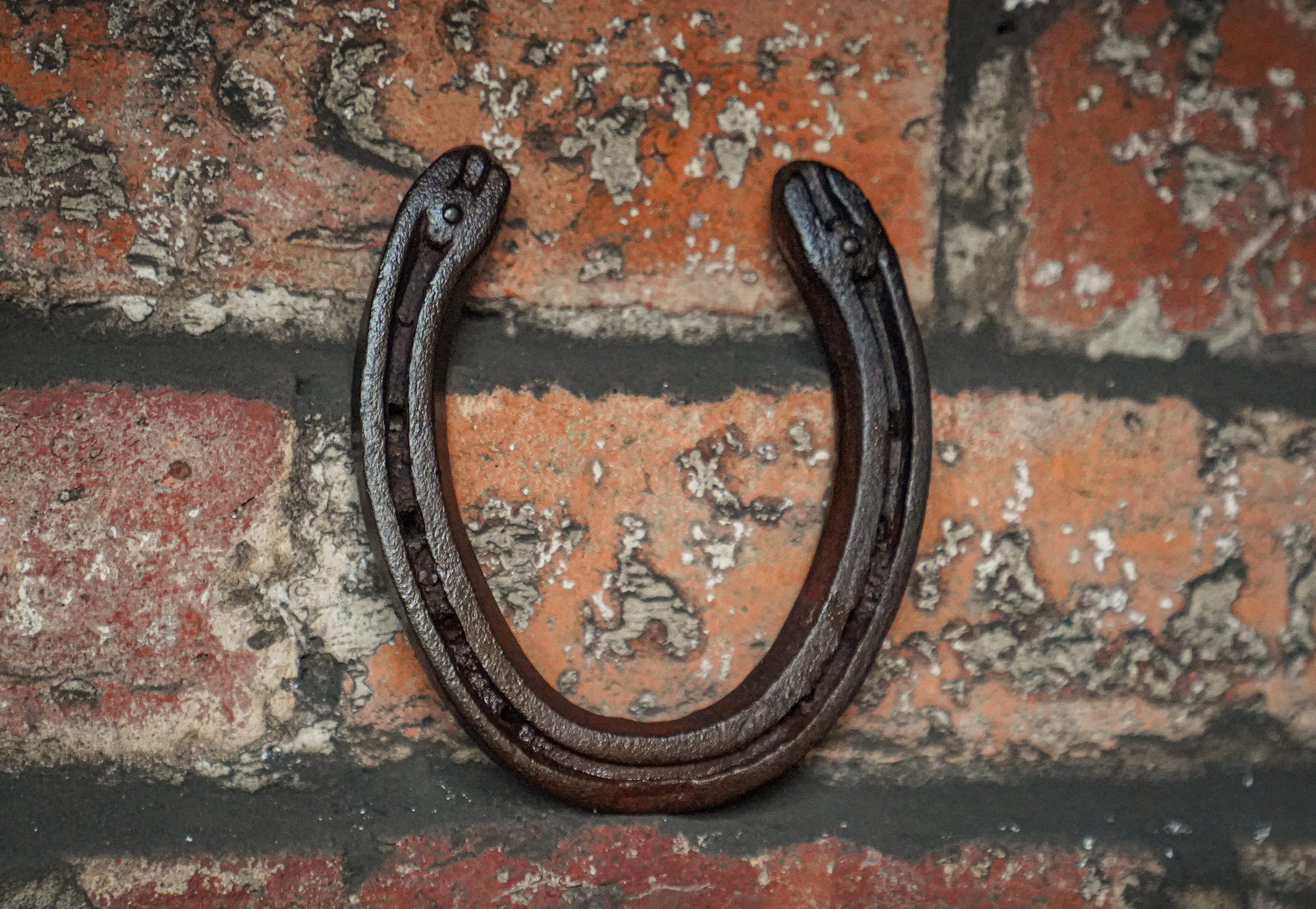 October Half Term: Myths and Superstitions