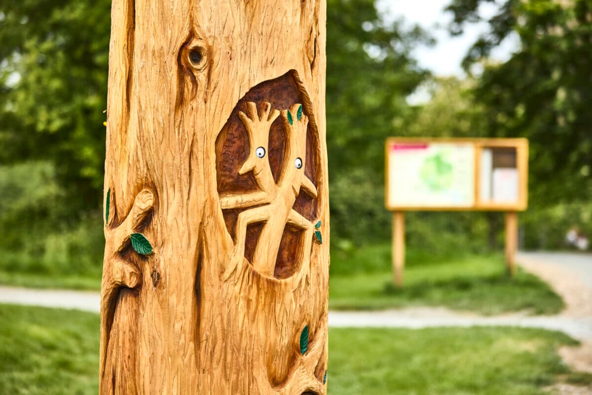 Storytime: Wiggly Bush Cafe at Weald Country Park