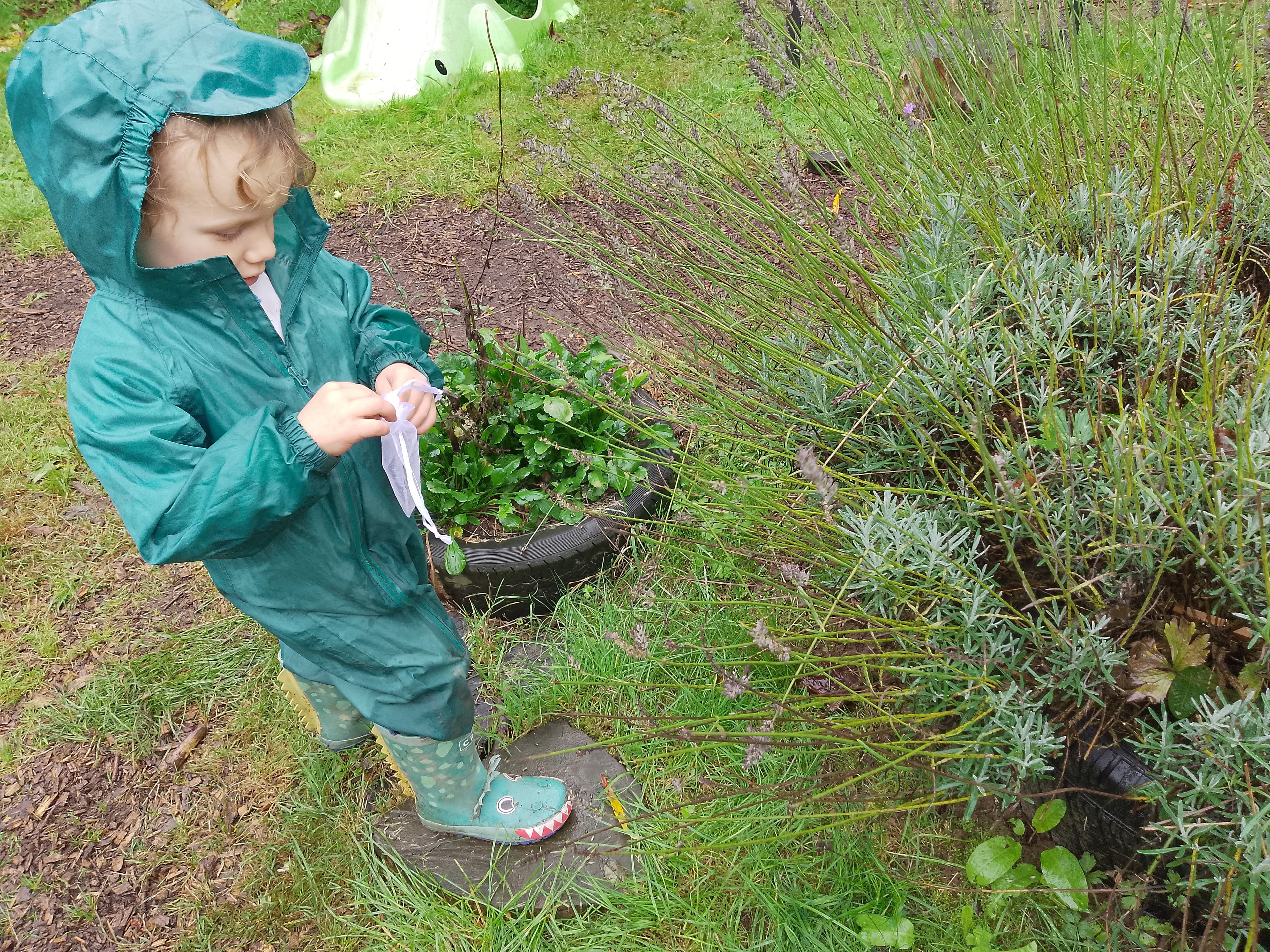 Play Wild Toddler Club