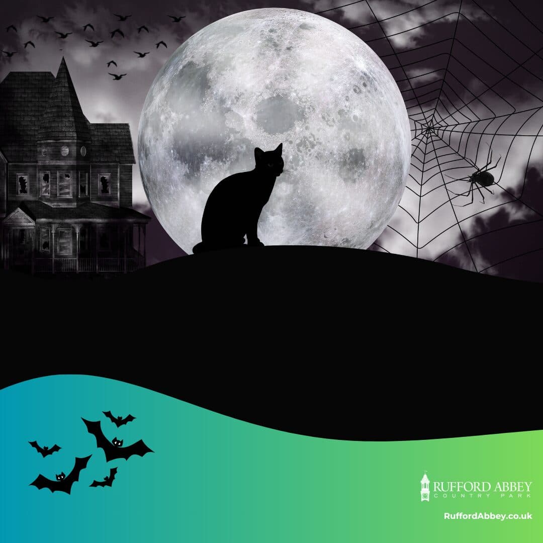 Fun Size Halloween Trail