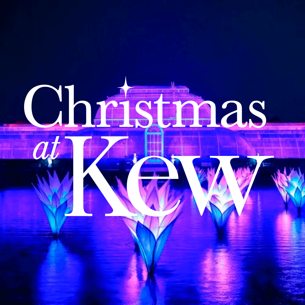 Christmas at Kew