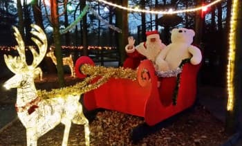 Santa Visits at Hall Hill Farm