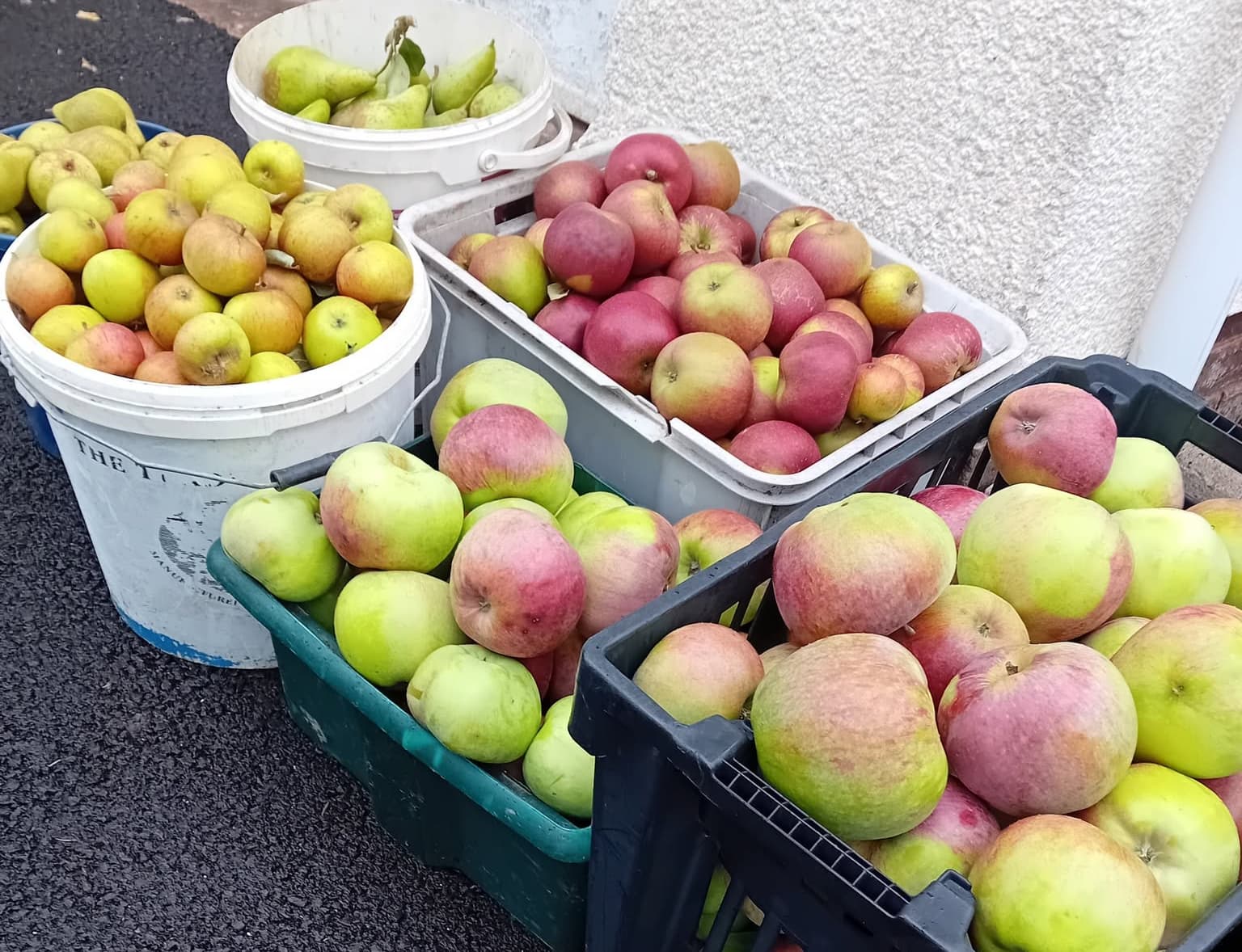 Apple Day at the Dean Heritage Centre
