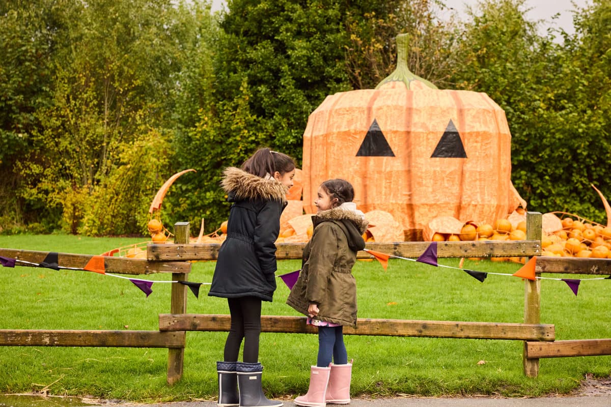Halloween at Chester Zoo