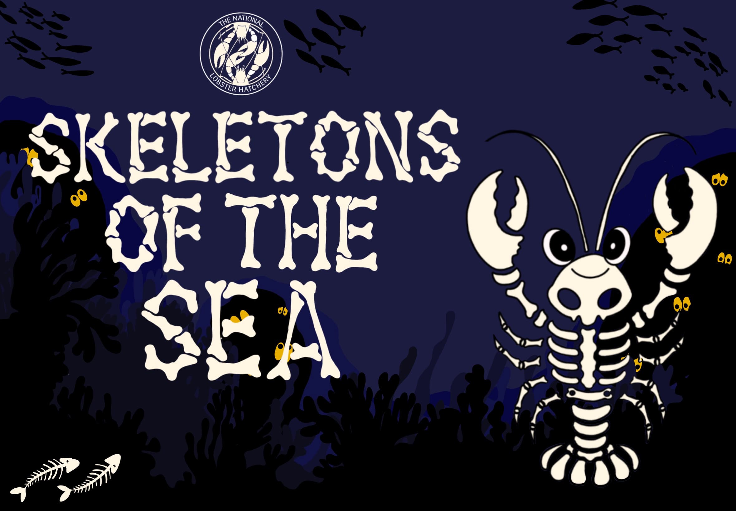 Skeletons of the Sea: Half term @ The NLH