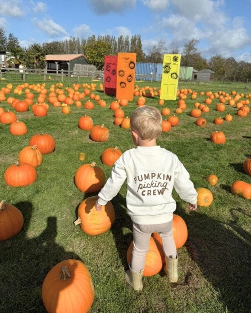PYO Pumpkins at Sharnfold Farm
