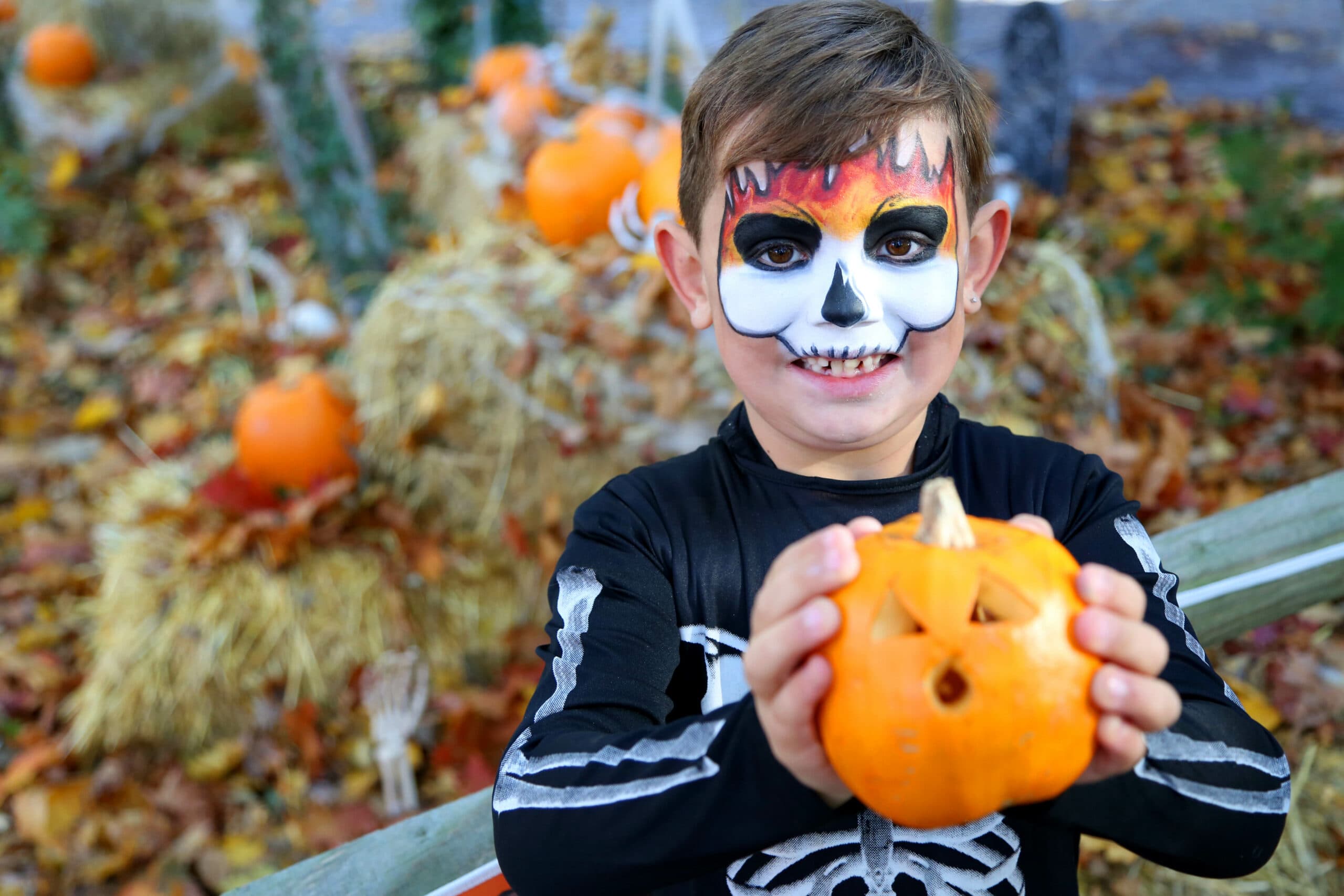 SpookWood at GreenWood Family Park