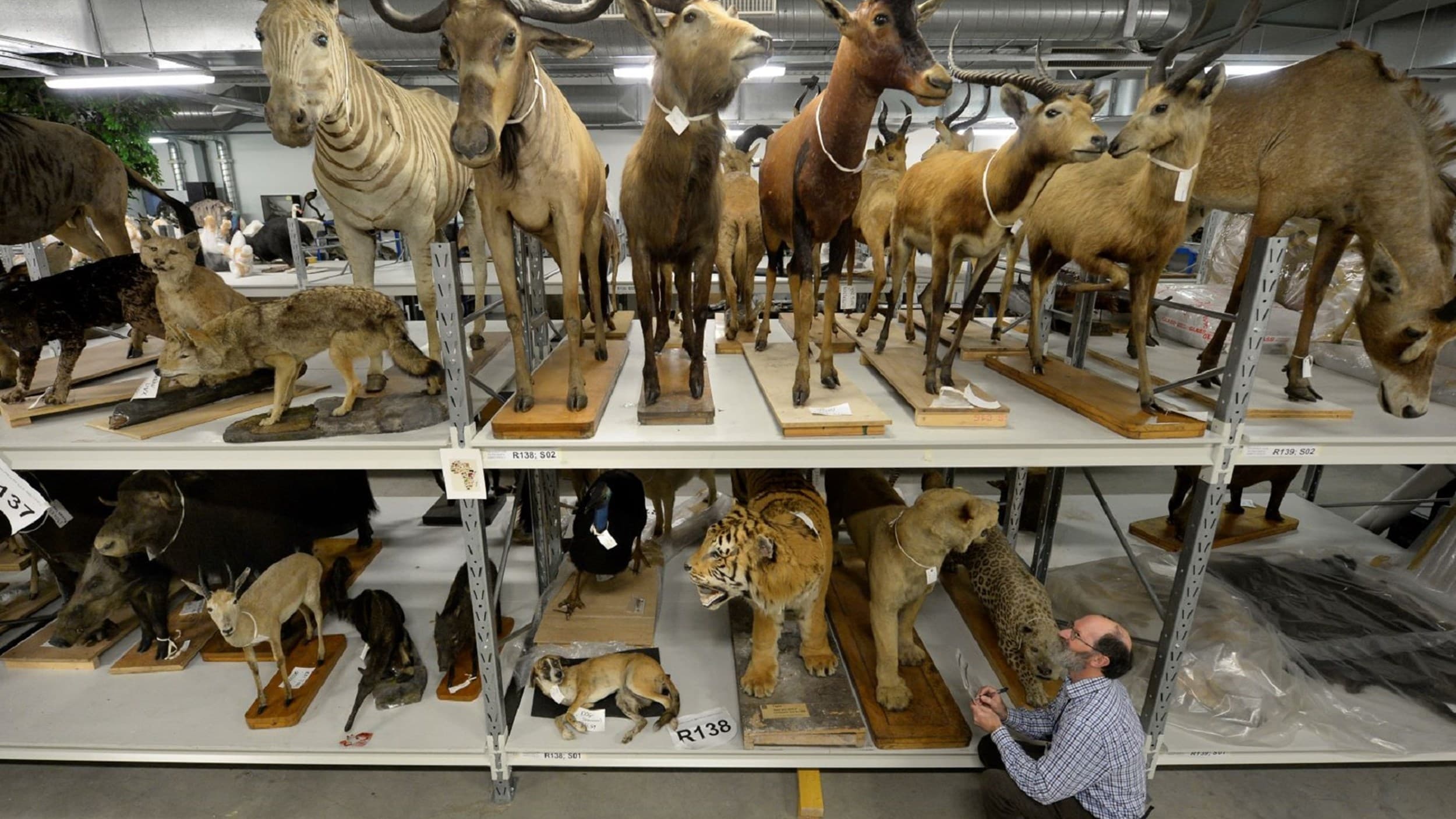 Behind the Scenes Tour