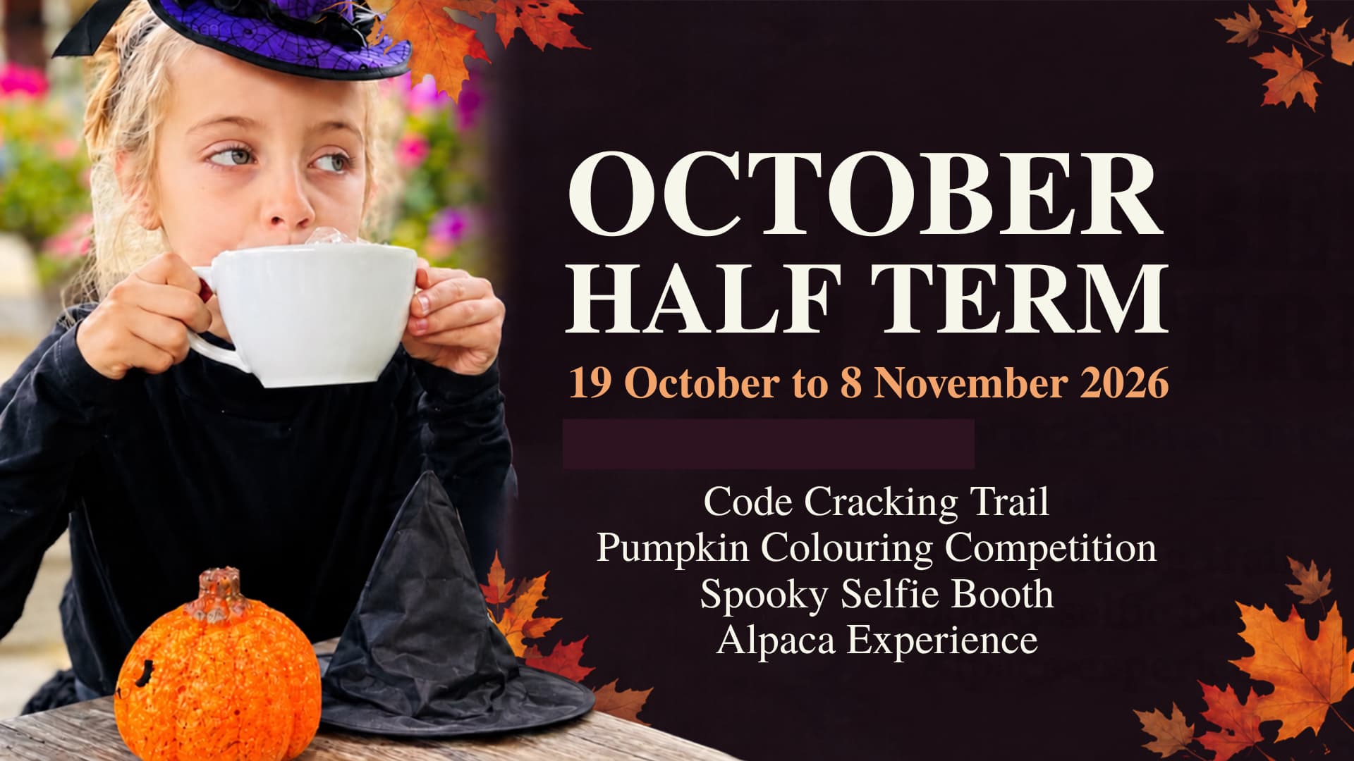 Code Cracking Pumpkin Trail and Halloween Half Term Fun