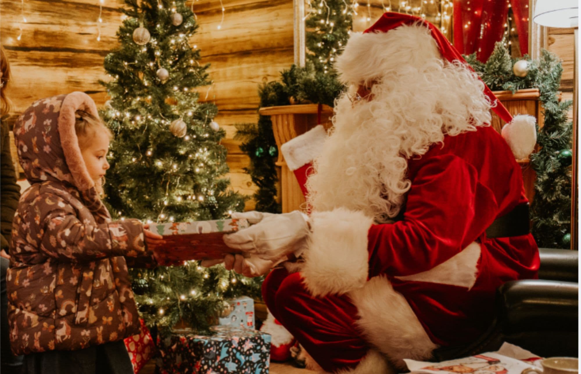 Santa's Grotto Experience