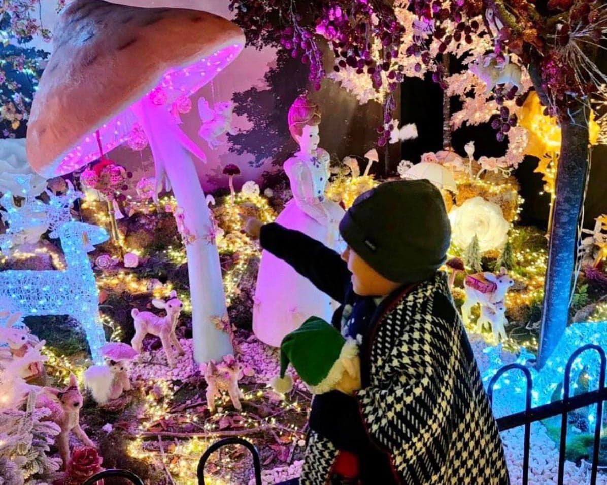 Christmas Grotto 2026 at White Elm Garden Centre