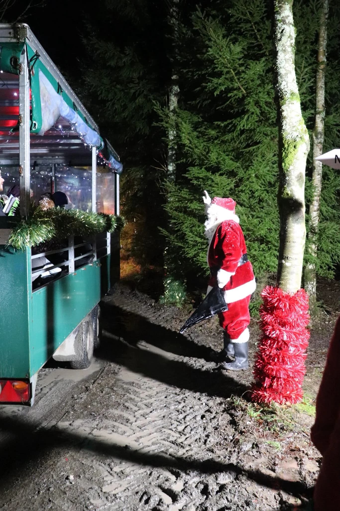 Santa's Woodland Experience