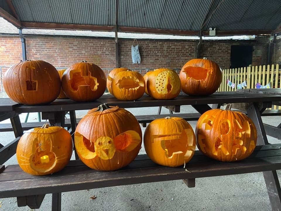 Pumpkin Carving & Cake at the Farm!
