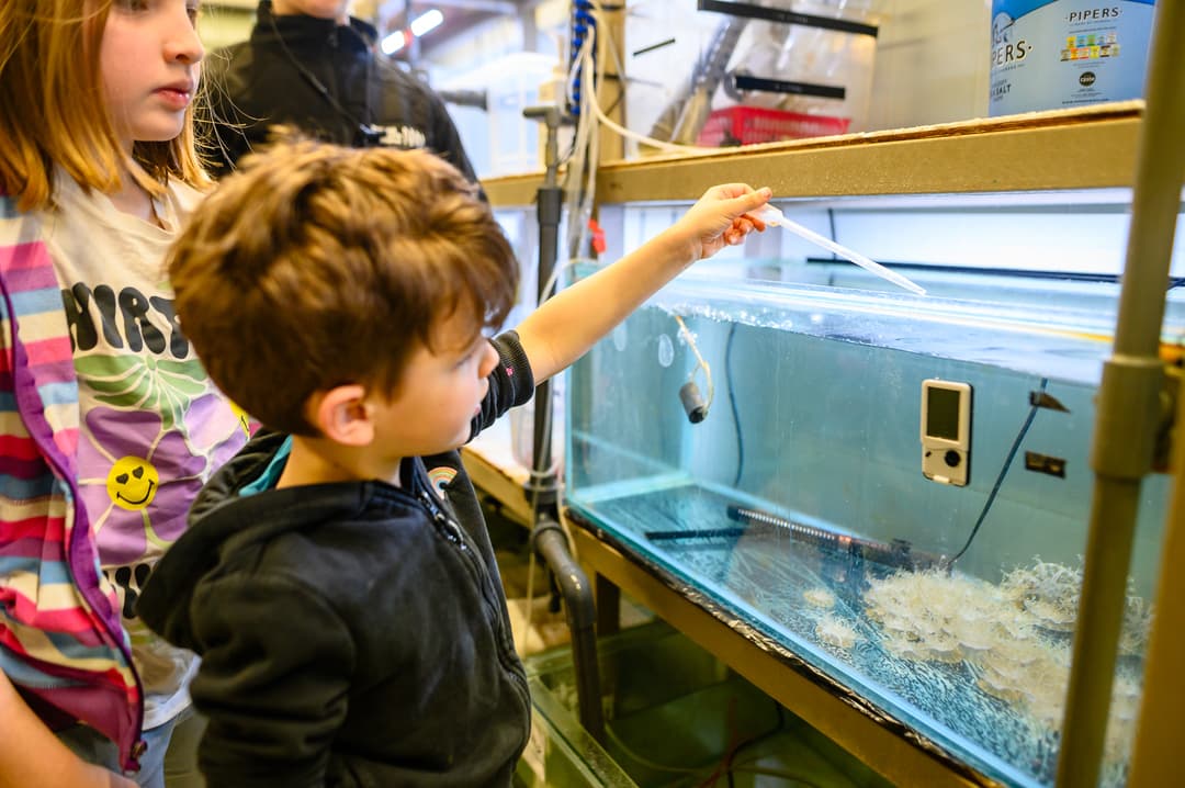 Aquarium Behind The Scenes Tour