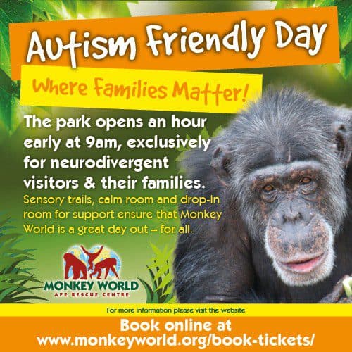 Autism Friendly Day at Monkey World