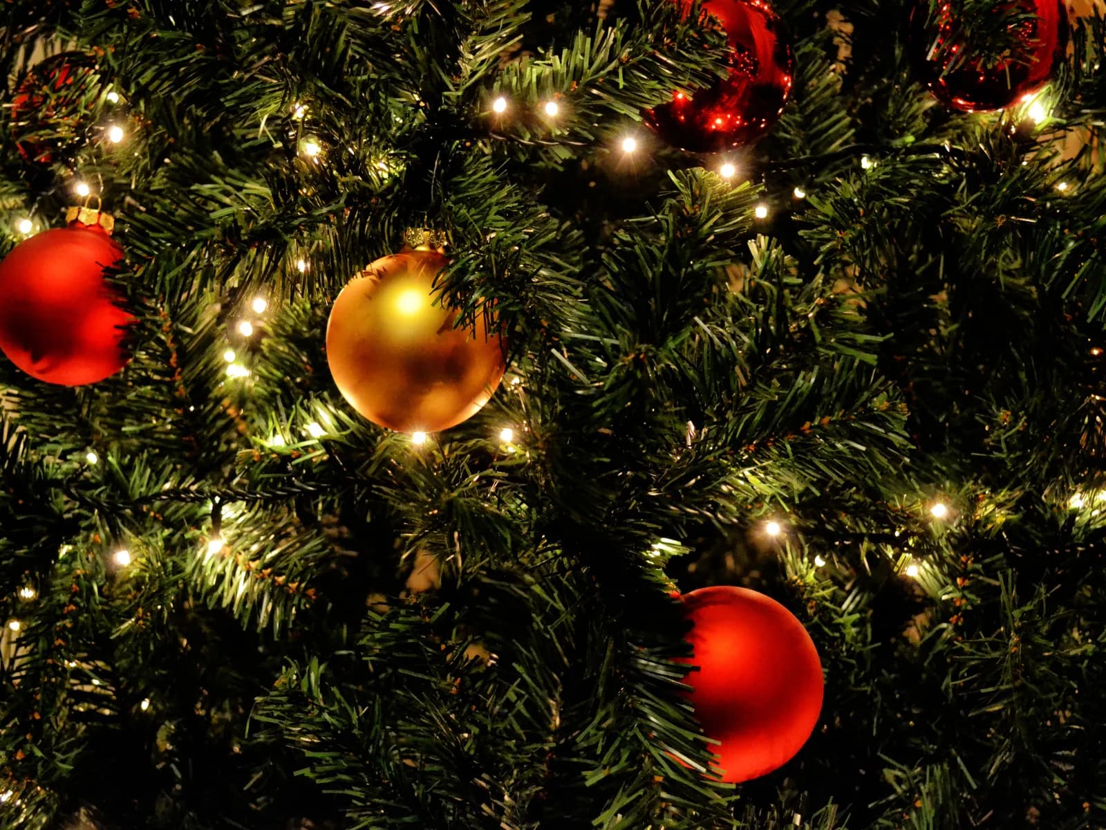 Festive Fun at Finaghy Library