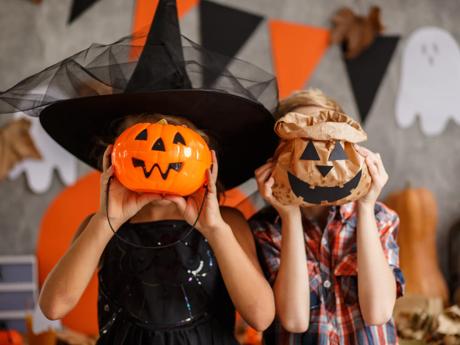 Pumpkin Patch Club