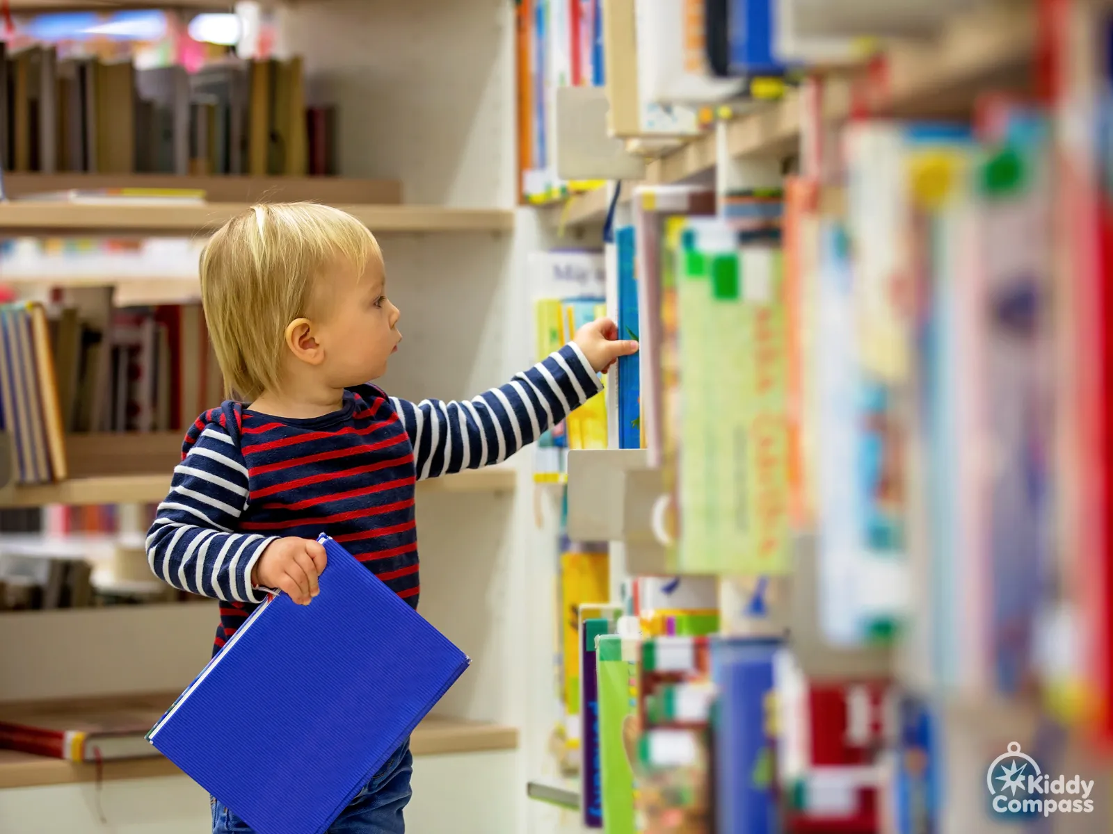 Interactive Storytime with Aoife