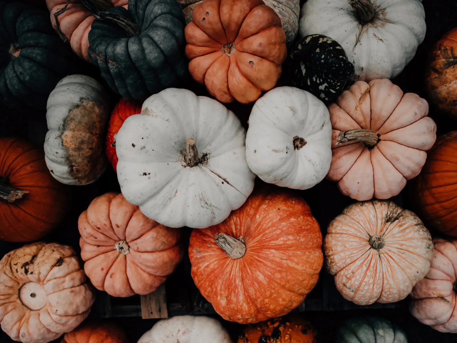 Didcot: Pumpkin Patch Craft Session