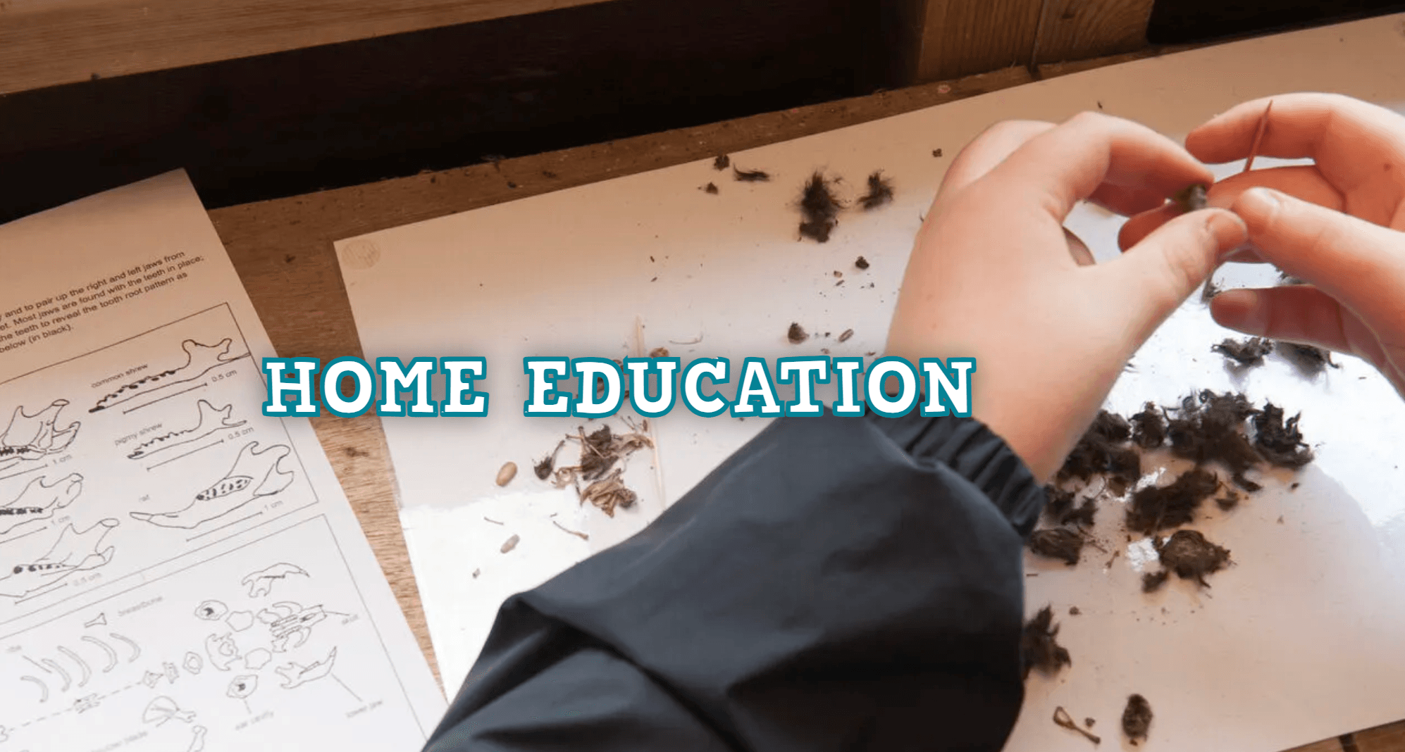 Home Education Sessions at Gibraltar Point