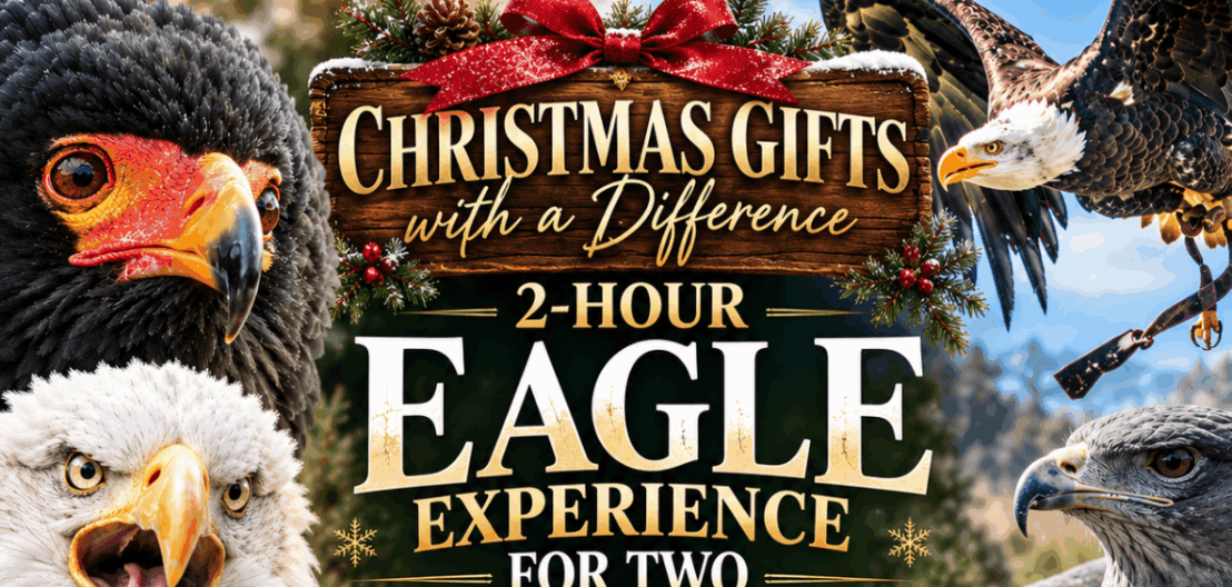 2 Hour Eagle Experience for Two